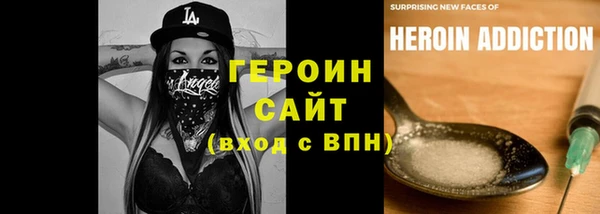 мдпв Ладушкин