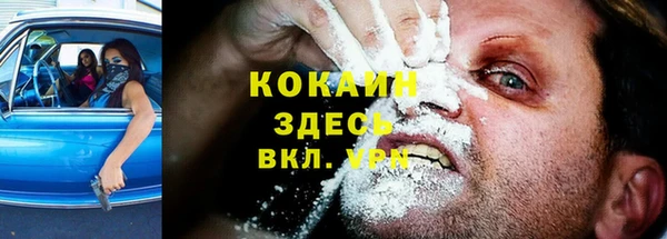 СК Кукмор