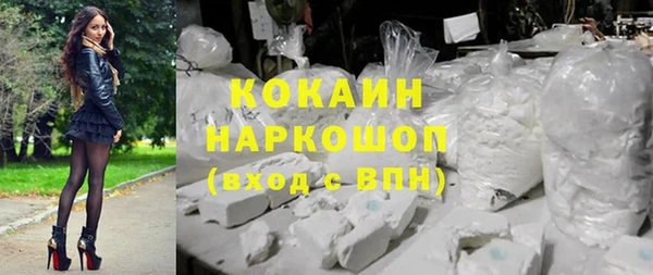 индика Лагань