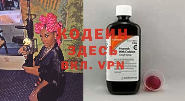 мдпв Ладушкин