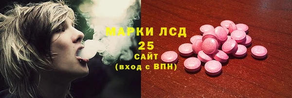 мдпв Ладушкин