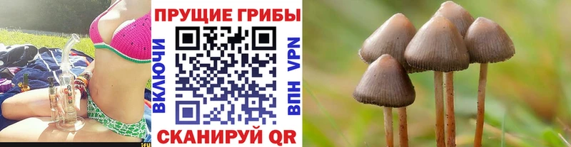 Псилоцибиновые грибы Cubensis Среднеколымск
